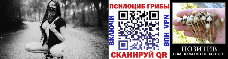 Псилоцибиновые грибы мухоморы  Покровск 